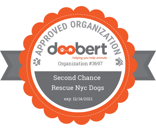 Homepage Second Chance Rescue