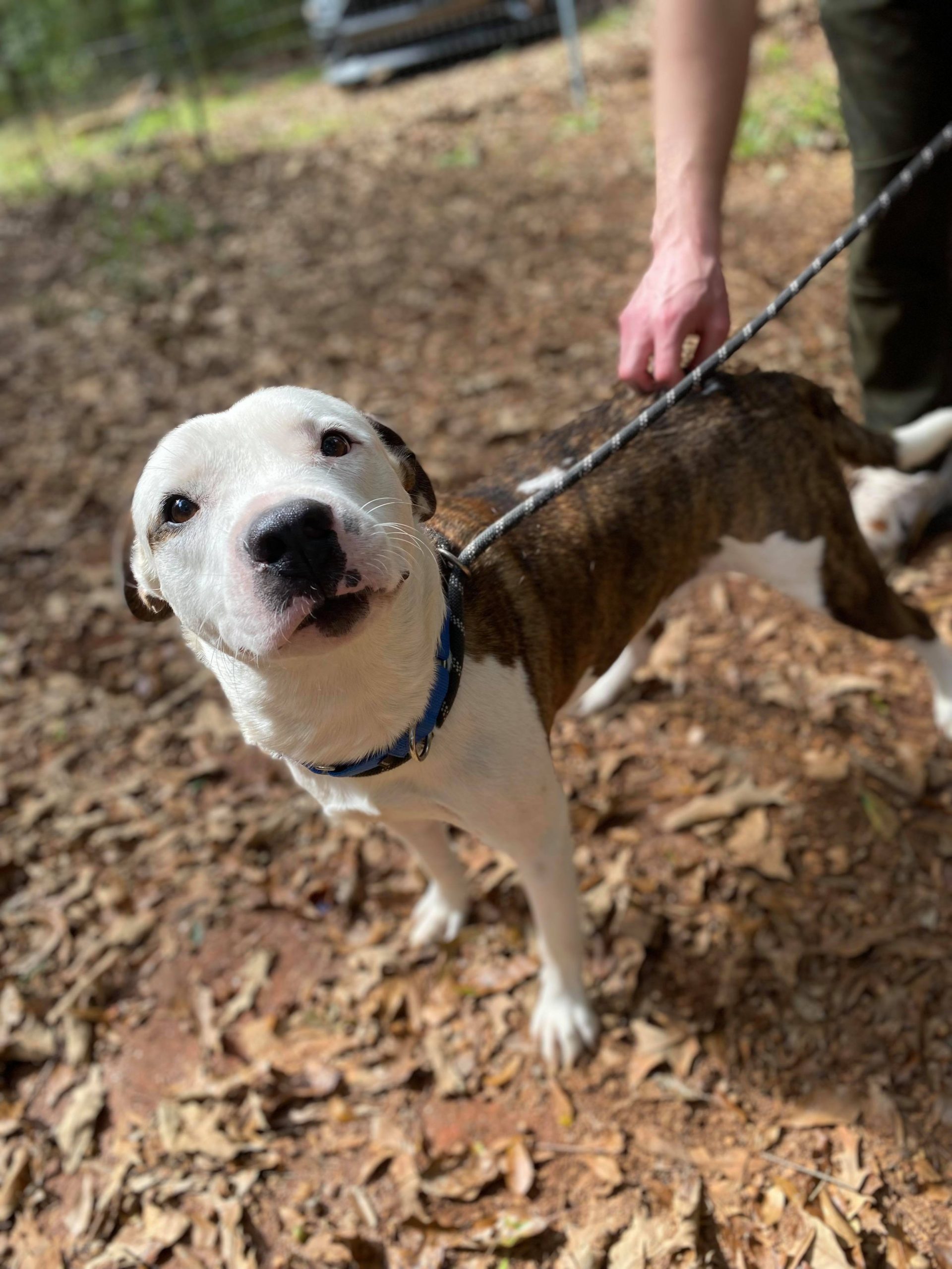 nycscr-bag of food