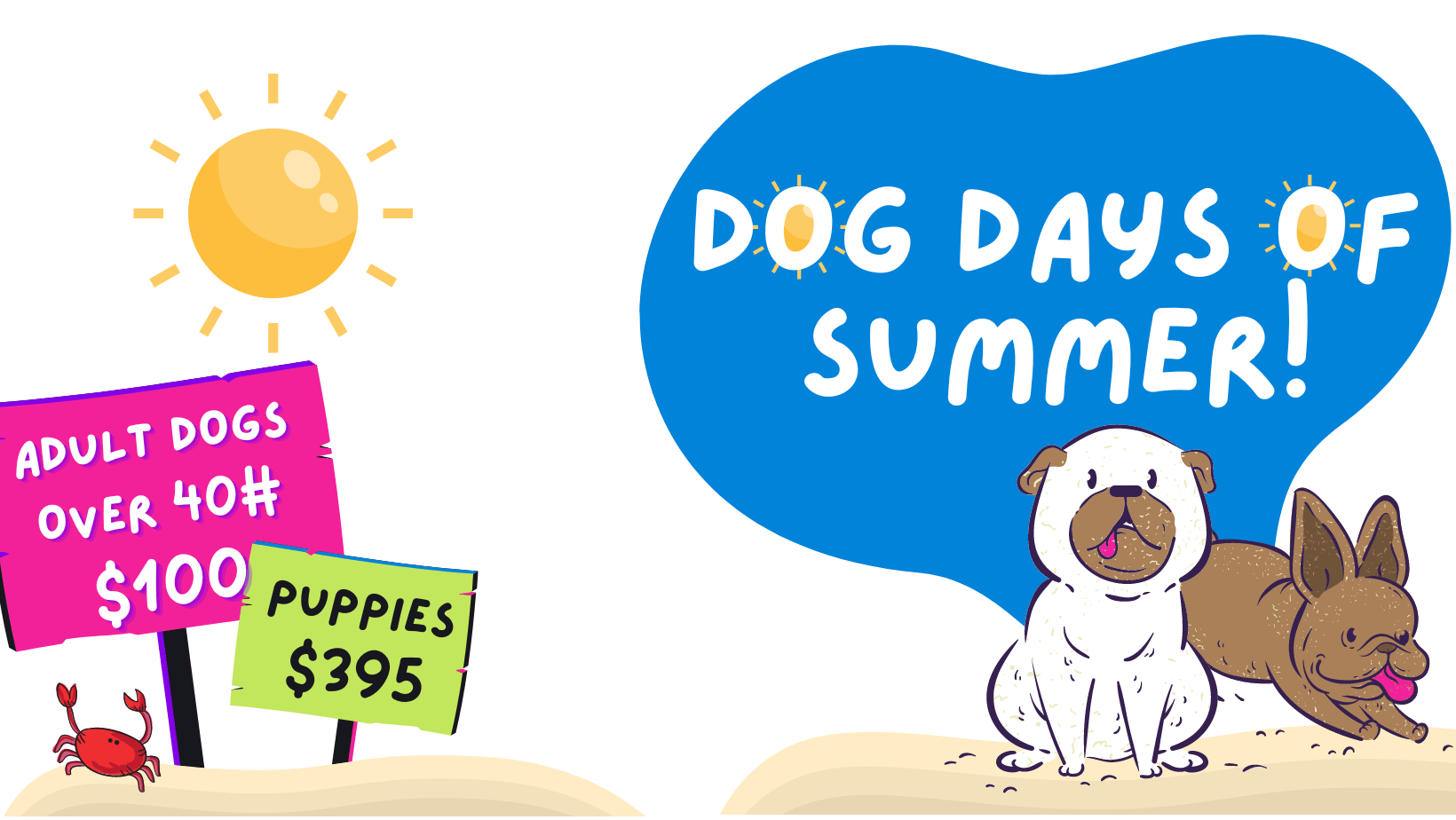 Dog Days of Summer!