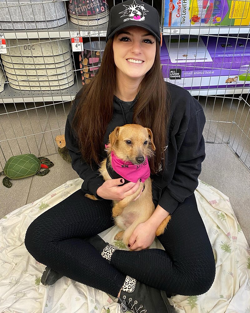 Join Our Volunteer Team Get Involved NYC Second Chance Rescue