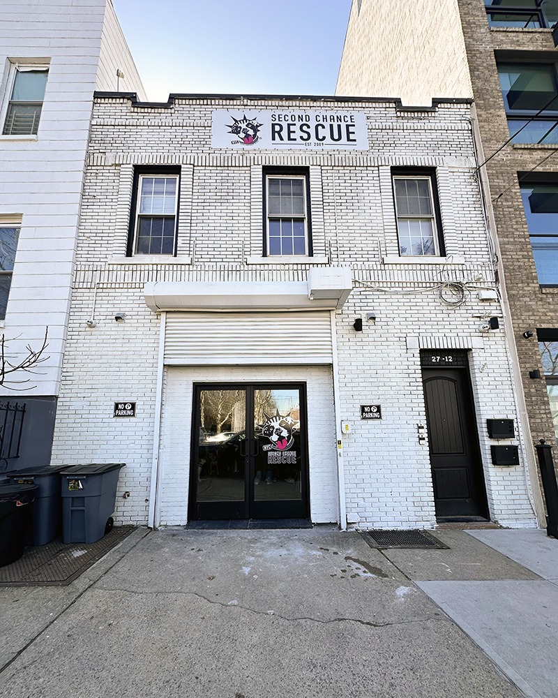 Adoption center long island city nyc second chance rescue