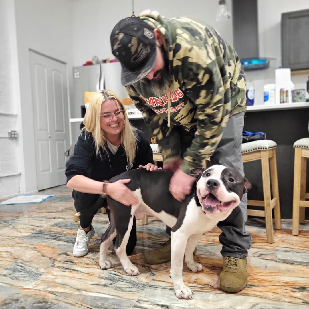 Adoption Center Long Island City NYC Second Chance Rescue