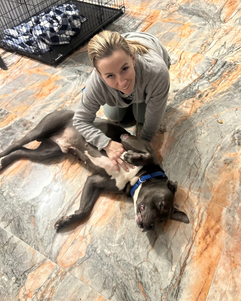 Adoption Center Long Island City NYC Second Chance Rescue